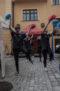Dni Wołowa i Powiatu Wołowskiego 2015