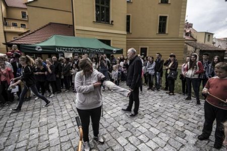 Dni Wołowa i Powiatu Wołowskiego 2015